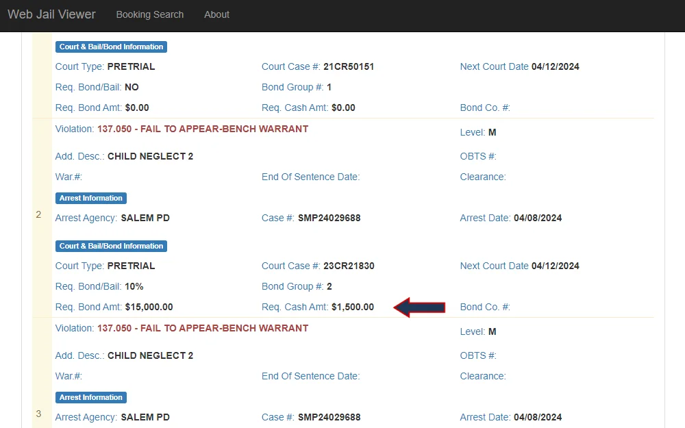 Screenshot of an offender's case detail